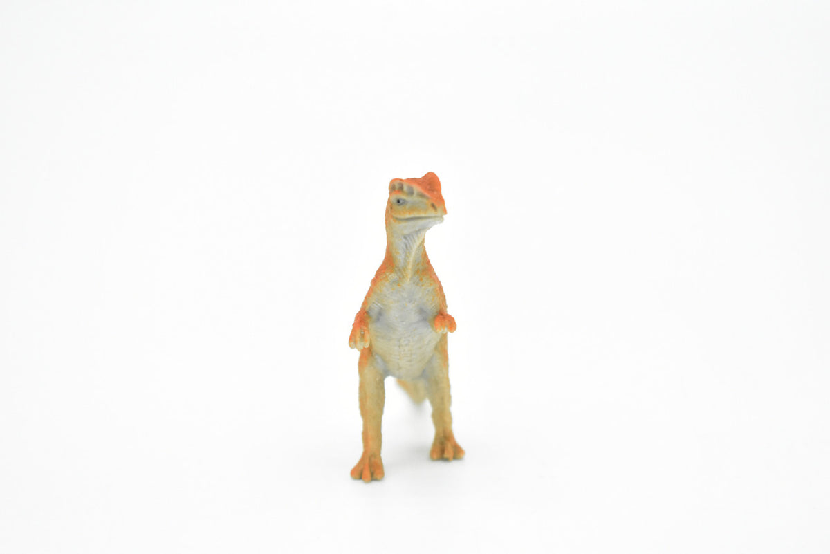 Dilophosaurus  Dinosaur, Very Nice Plastic Replica    3"     F1869-B4