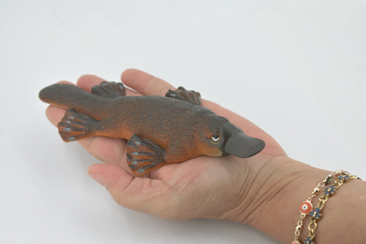 Platypus, Duck-billed platypus, Museum Quality, Hand Painted, Rubber Mammal, Realistic, Figure, Model, Replica, Toy, Kids, Educational, Gift,     7"     CH514 BB157