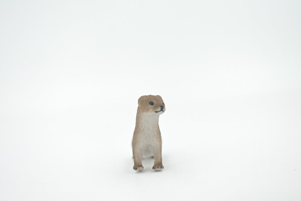 Fisher, Museum Quality, Hand Painted, Rubber Animal, Realistic, Figure, Model, Replica, Toy, Kids, Educational, Gift,      3"      CH534 BB159