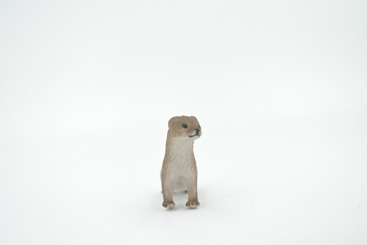 Fisher, Museum Quality, Hand Painted, Rubber Animal, Realistic, Figure, Model, Replica, Toy, Kids, Educational, Gift,      3"      CH534 BB159