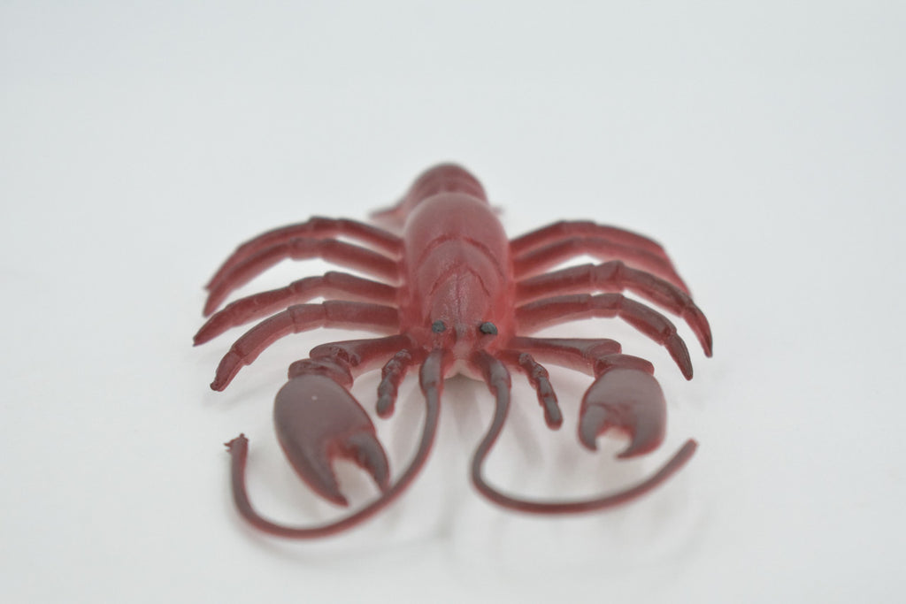 Lobster, Crayfish, Crawdad Design, Red, Museum Quality, Rubber Crustaceans, Educational, Figure, Lifelike, Model, Replica, Gift,     4"     F0023 B22
