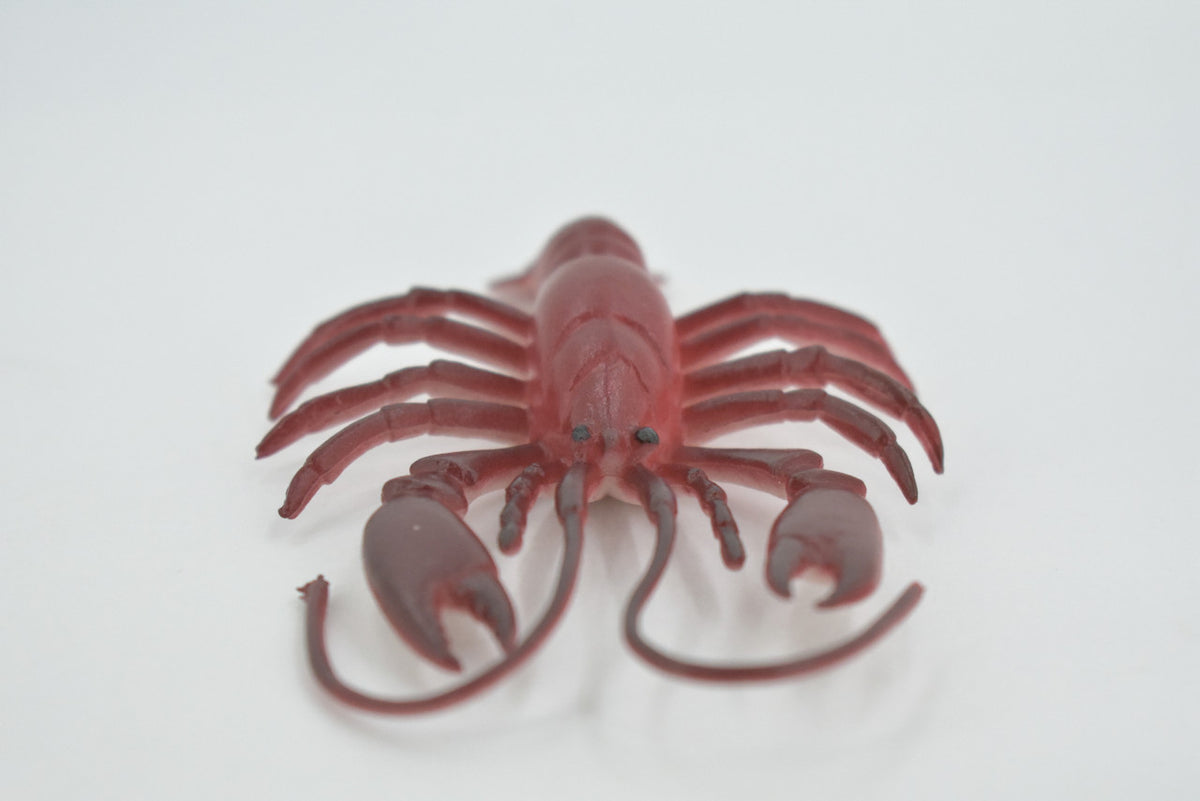 Lobster, Crayfish, Crawdad Design, Red, Museum Quality, Rubber Crustaceans, Educational, Figure, Lifelike, Model, Replica, Gift,     4"     F0023 B22