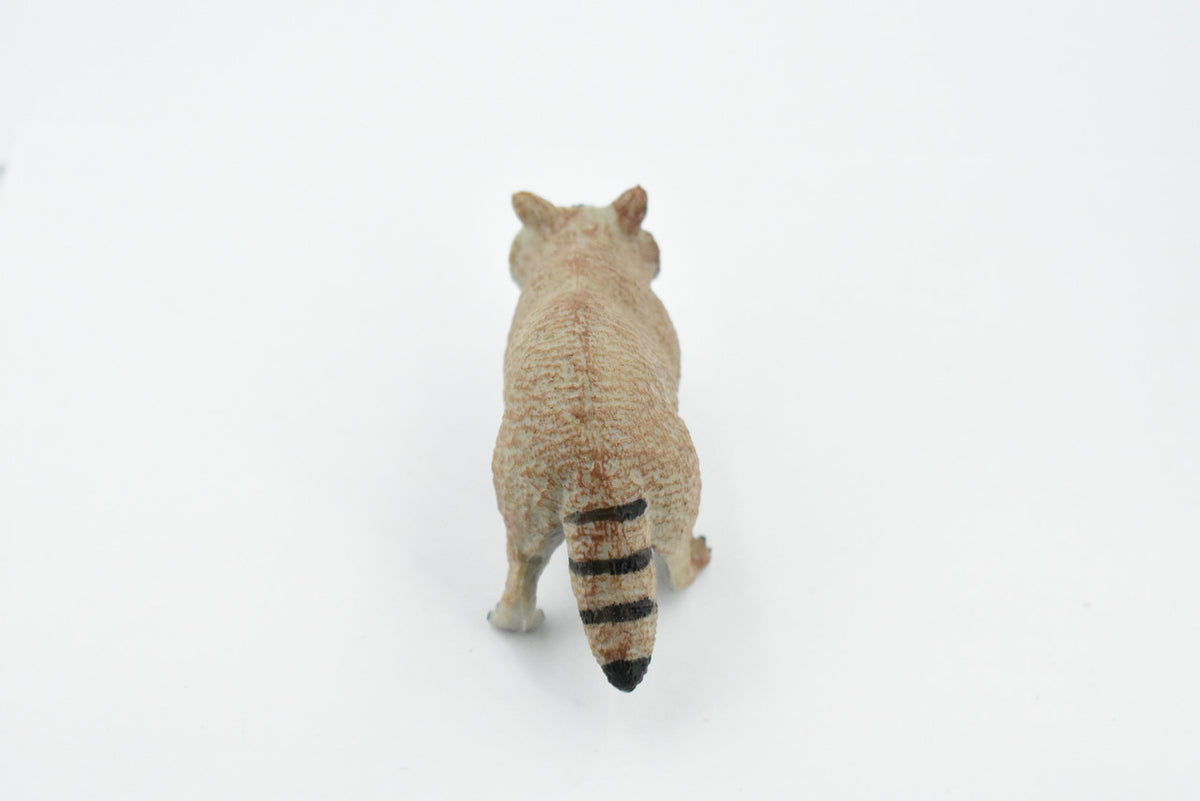 Raccoon, Racoon, Trash panda, Museum Quality, Hand Painted, Rubber Mammal, Realistic Toy Figure, Replica, Kids, Educational, Gift,    4 Inches.  CH337 BB134