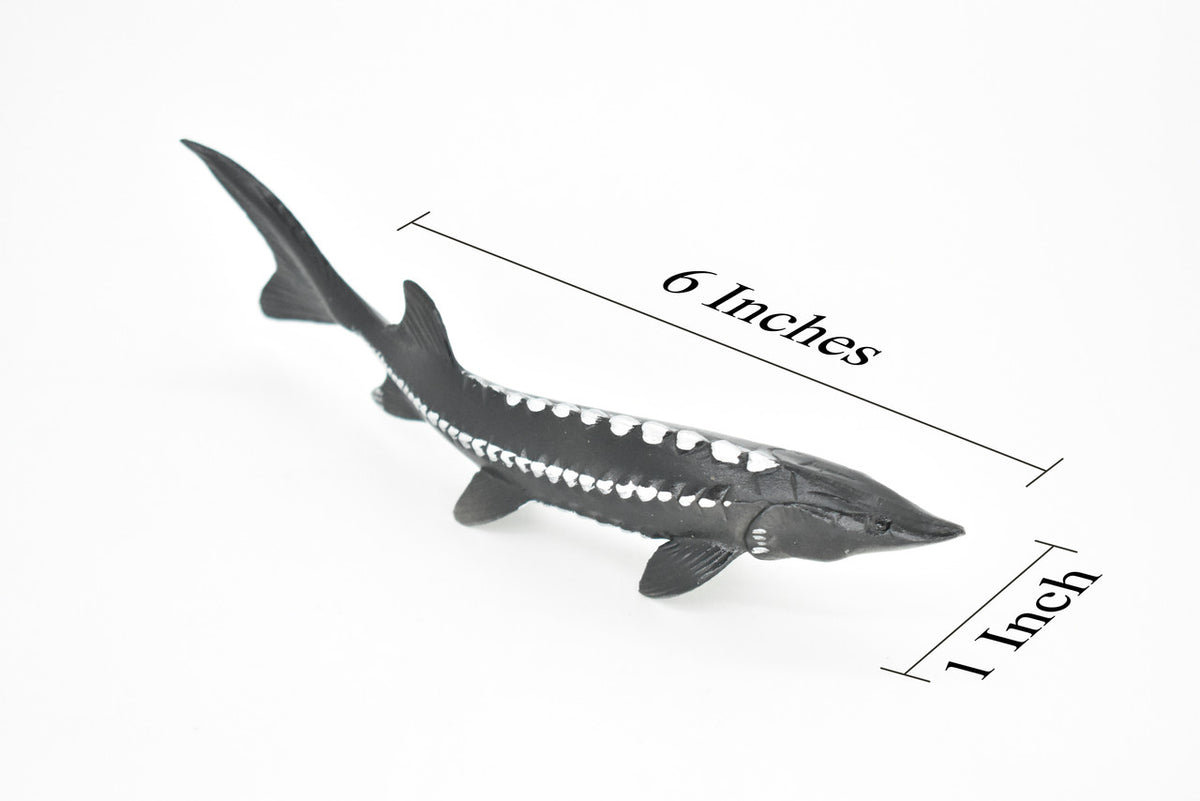 Sturgeon, Acipenseridae, Prehistoric, Museum Quality, Rubber Fish, Hand Painted, Realistic Toy Figure, Diorama Model, Kids, Educational,  6 Inches. 