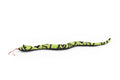 Snake, Reptiles, Green, Hand Made In Thailand, Sand Creatures, Paper Weight, Bean Bag, Cornhole, Game, Toy, Kids, Educational, 12 Inches Long.