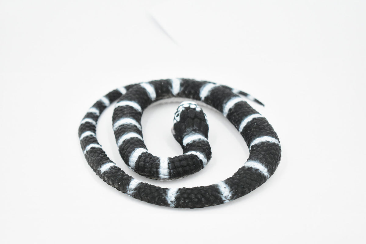 Snake, California King Snake, Coiled, Rubber Reptile, Educational, Realistic Hand Painted, Figure, Lifelike Model, Figurine, Replica, Gift,     26"     F4436 B307