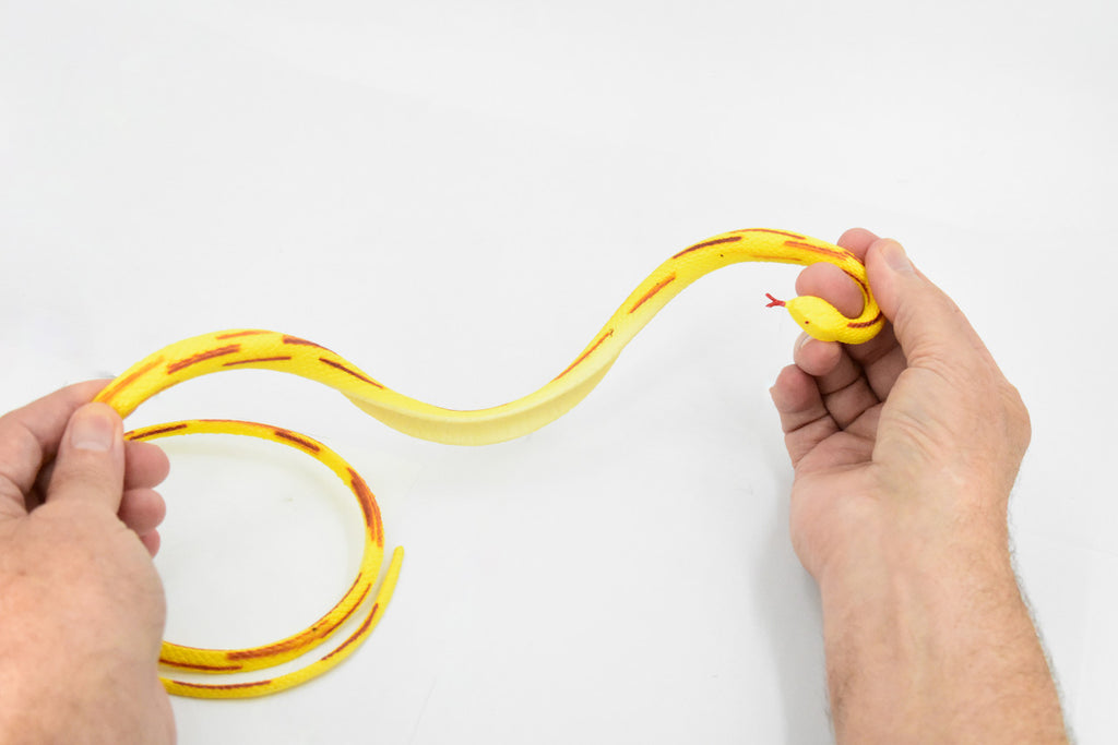 Snake, Corn Snake, Coiled, Yellow and Brown, Rubber Reptile, Educational, Realistic Hand Painted, Figure, Lifelike Model, Figurine, Replica, Gift,       40"    F3579 B355