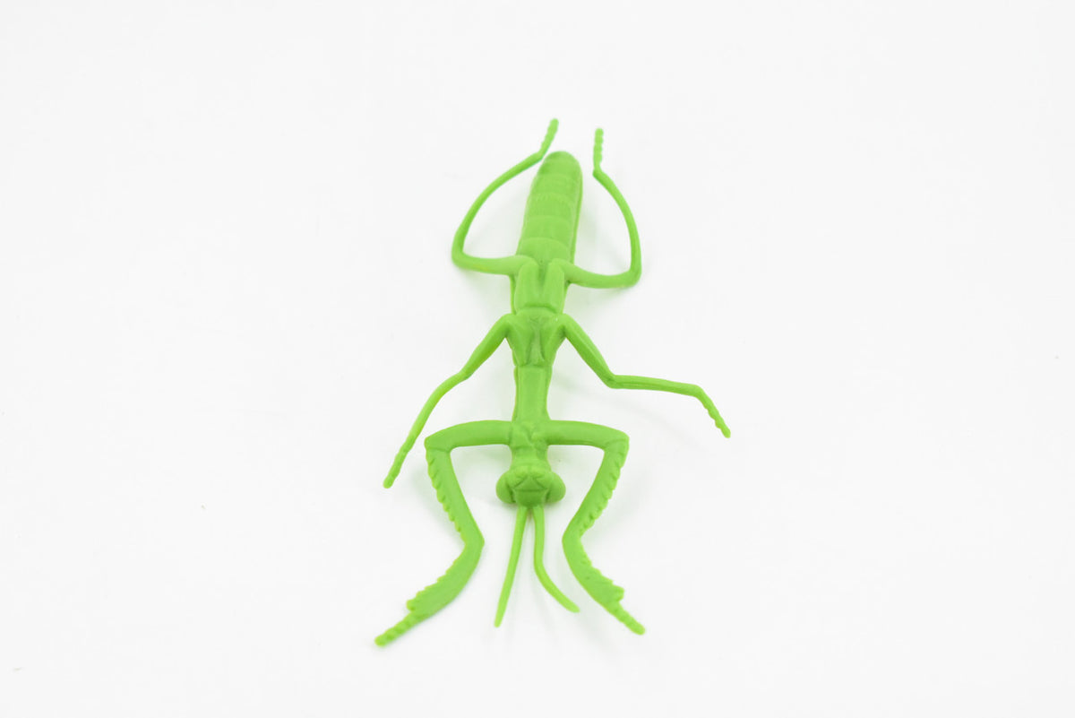 Praying Mantis, Rubber Insect, Toy, Realistic Figure, Model, Replica, Kids Educational Gift,    3 1/2"     F1657B74