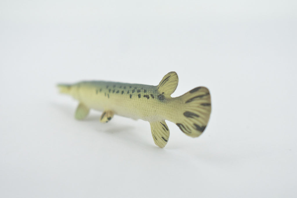 Fish, Alligator Gar, Freshwater, High Quality, Rubber Fish, Hand Painted, Realistic, Figure, Model, Replica, Toy, Kids, Educational, Gift,      3 1/2"       F3446 B88