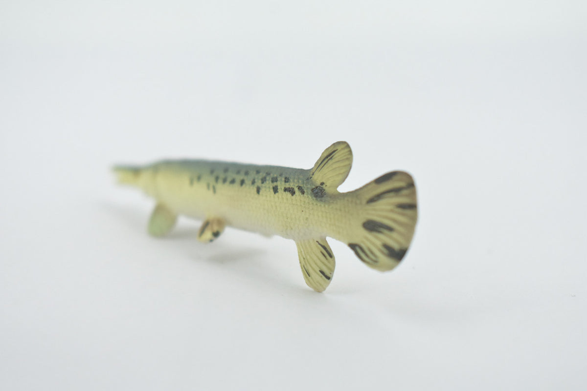 Fish, Alligator Gar, Freshwater, High Quality, Rubber Fish, Hand Painted, Realistic, Figure, Model, Replica, Toy, Kids, Educational, Gift,      3 1/2"       F3446 B88