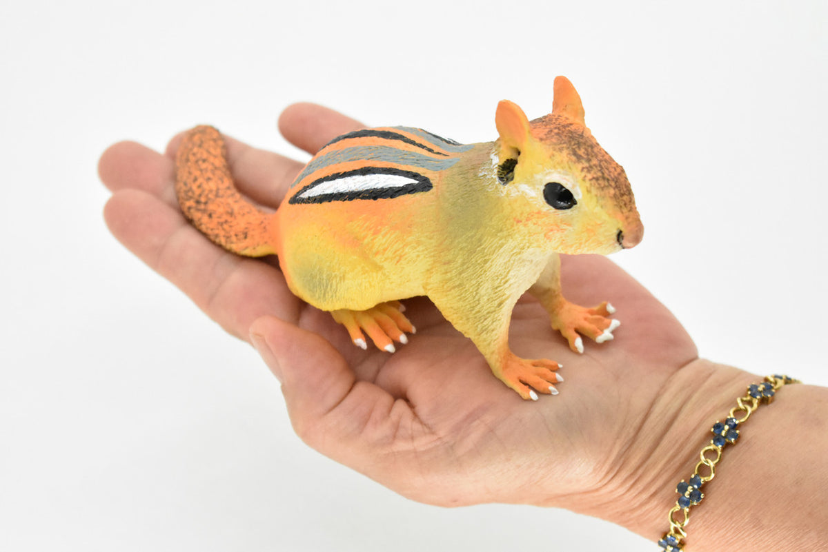 Chipmunk, Chippies,  Striped squirrel, Museum Quality, Hand Painted, Rubber Animal, Realistic Toy Figure, Diorama Model, Kids, Educational,  7 Inches. 