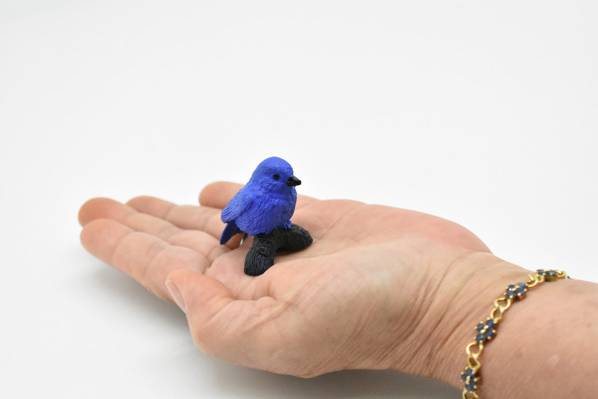 Indigo Bunting, Rubber Bird, Educational, Realistic, Hand Painted, Figure, Lifelike Model, Figurine, Replica, Gift,     2"    F3393 B27