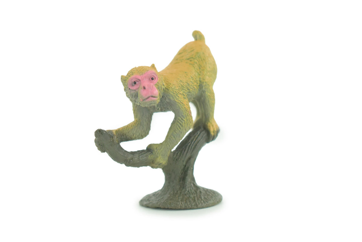 Barbary Macaque, Barbary ape or Magot, Rubber Primate, Animal, Educational, Realistic Figure, Lifelike, Model, Toys, Gift, 2 inches tall. F1784 B122