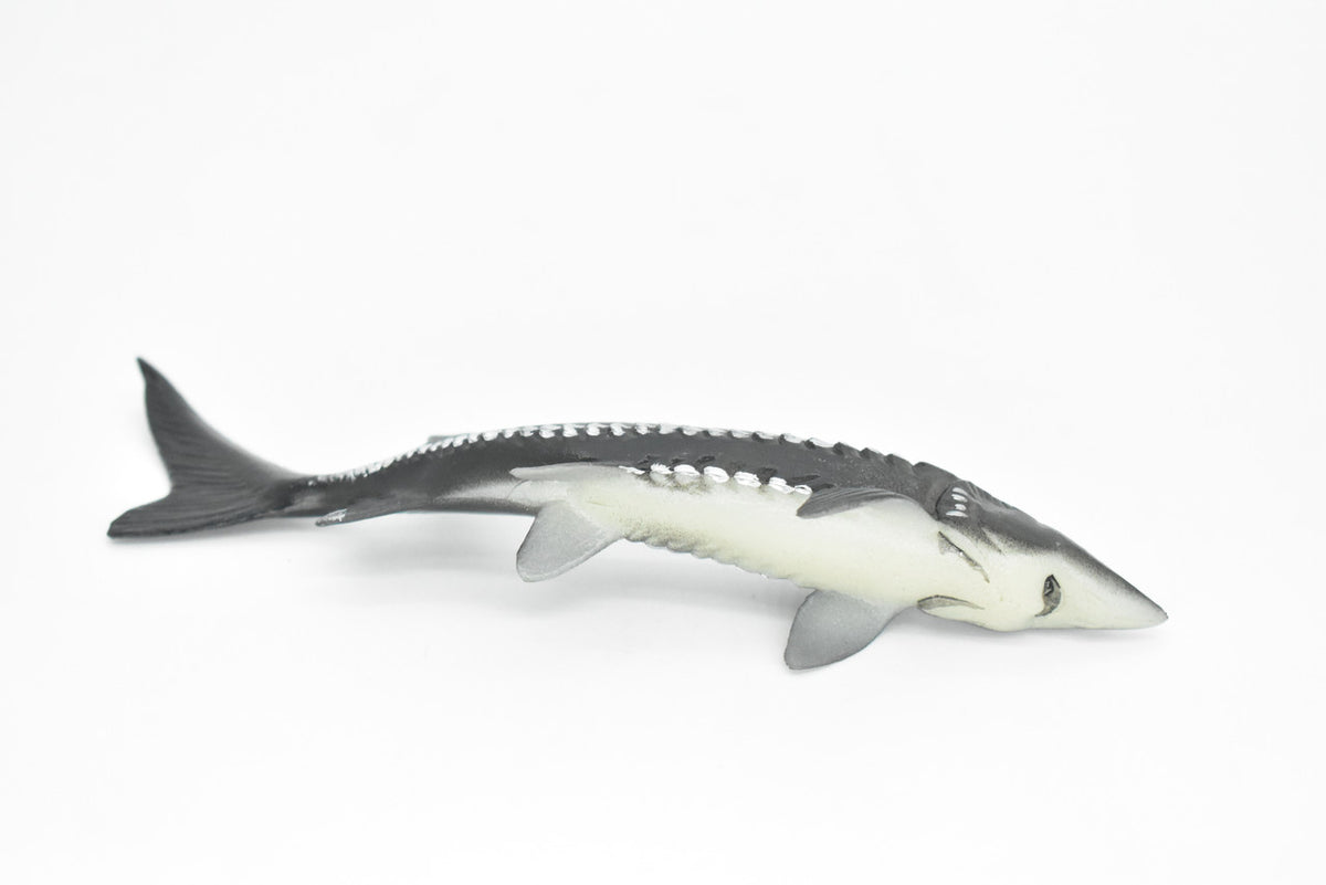 Sturgeon, Acipenseridae, Prehistoric, Museum Quality, Rubber Fish, Hand Painted, Realistic Toy Figure, Diorama Model, Kids, Educational,  6 Inches. 