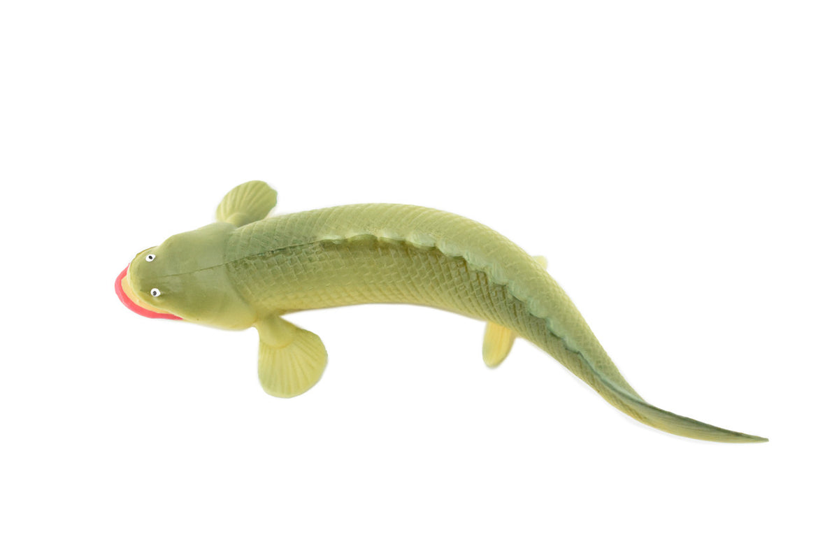 Polypterus, Nile Bichirs, Ropefish, Museum Quality, Rubber Fish, Hand Painted, Realistic Toy Figure, Diorama Model, Kids, Educational,  4 1/2 Inches. 