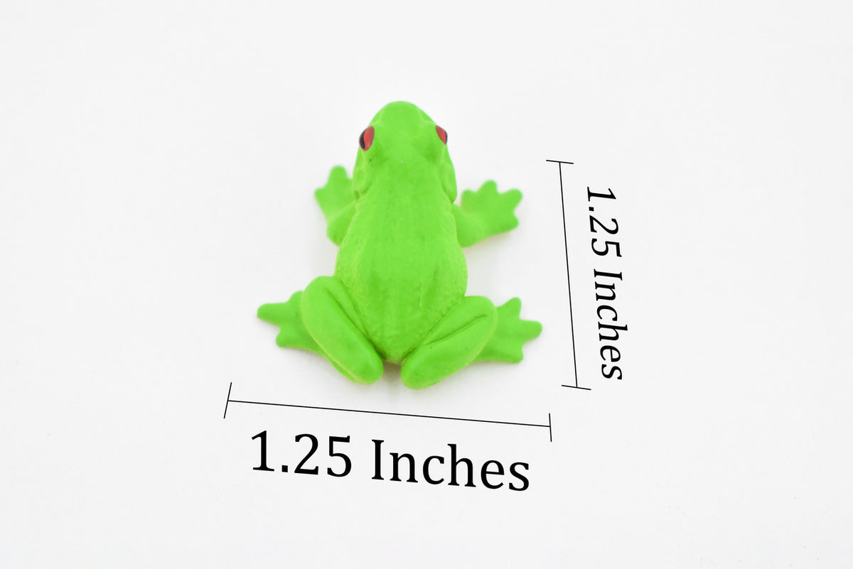 Green Tree Frog, Rubber Amphibian, Educational, Realistic, Figure, Lifelike Model, Figurine, Replica, Toys, Kids, Gift,    1 1/4 Inches.