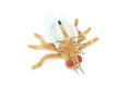 Fruit Fly Stuffed Animal Plush Toy