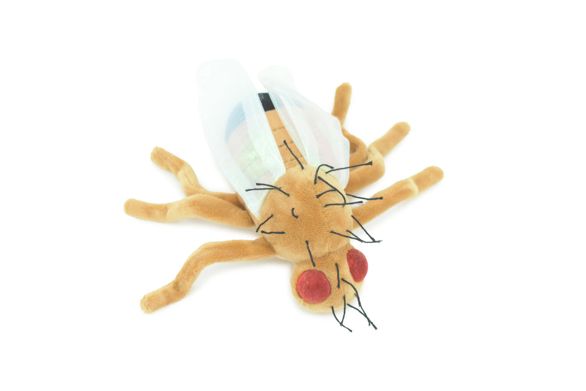 Fruit Fly Stuffed Animal Plush Toy