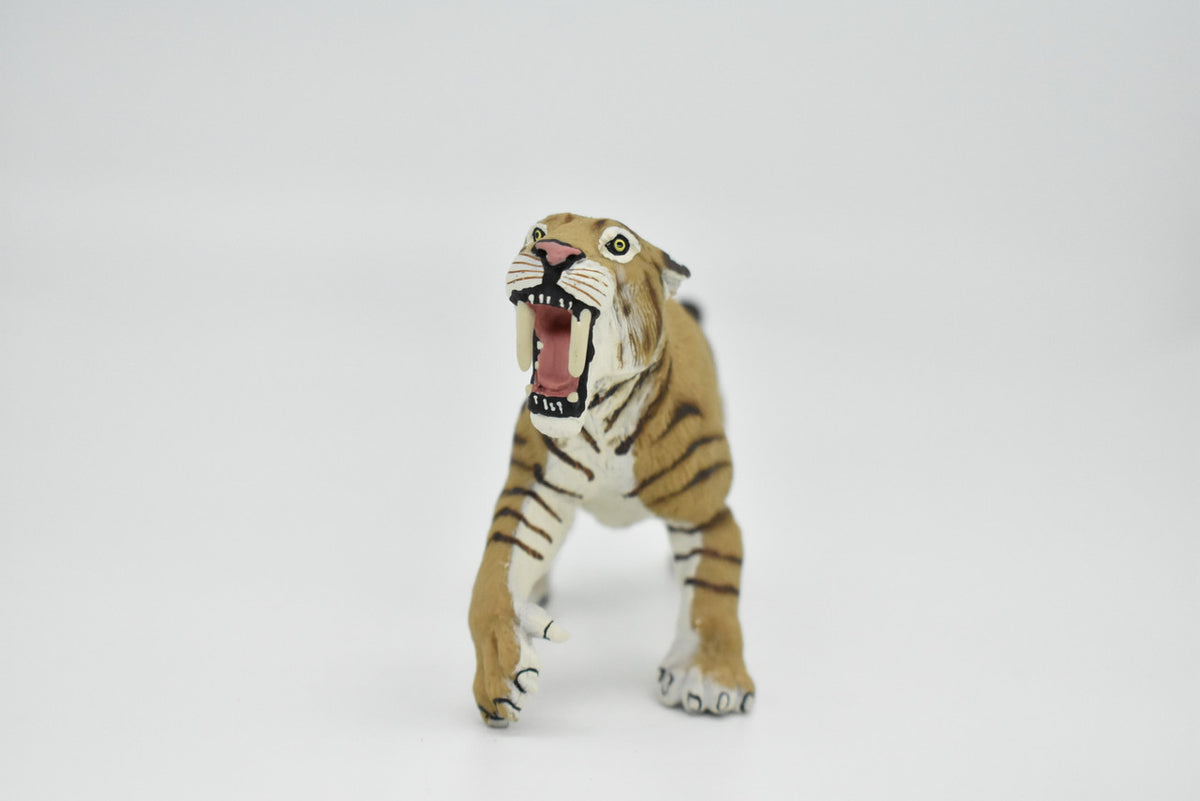 Saber-toothed Cat, Smilodon, Museum Quality Plastic Reproduction, Hand Painted    4 1/2"   F7057-B224