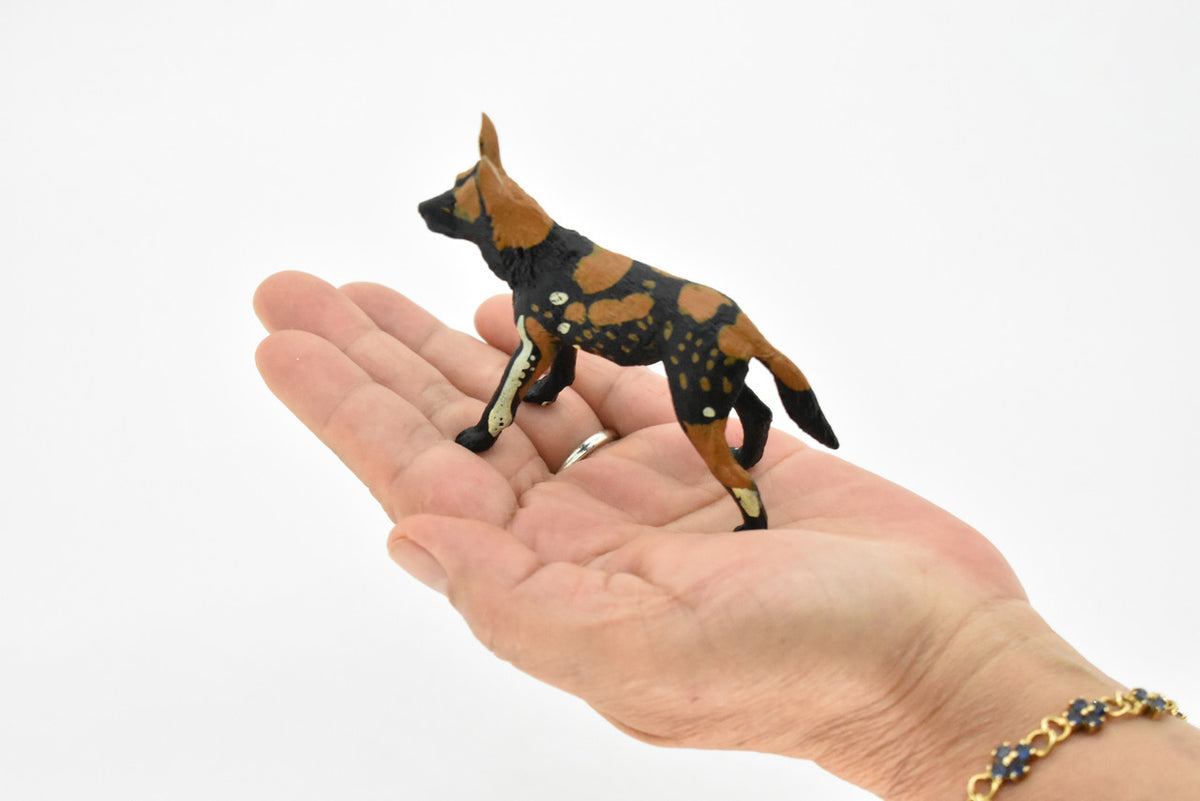 African Wild Dog, Painted Dog, Lycaon pictus, Museum Quality, Educational, Rubber Animal, Hand Painted, Realistic, Diorama Model, Toy, Kids,  4 Inches. 