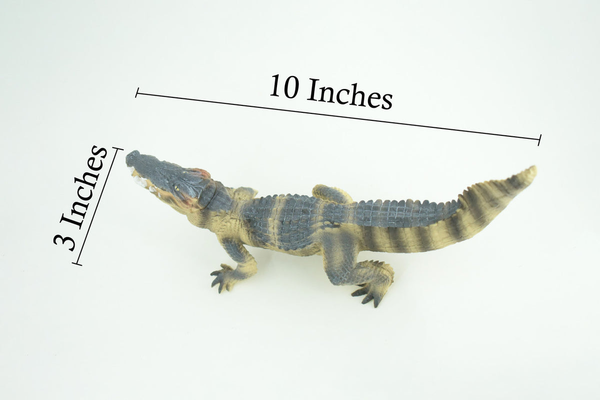 Saltwater Crocodile, Movable Jaws, Museum Quality, Educational, Hand Painted, Rubber Reptile, Realistic, Diorama, Toy, Kids, Gift, 10 Inches. CH776 BB193