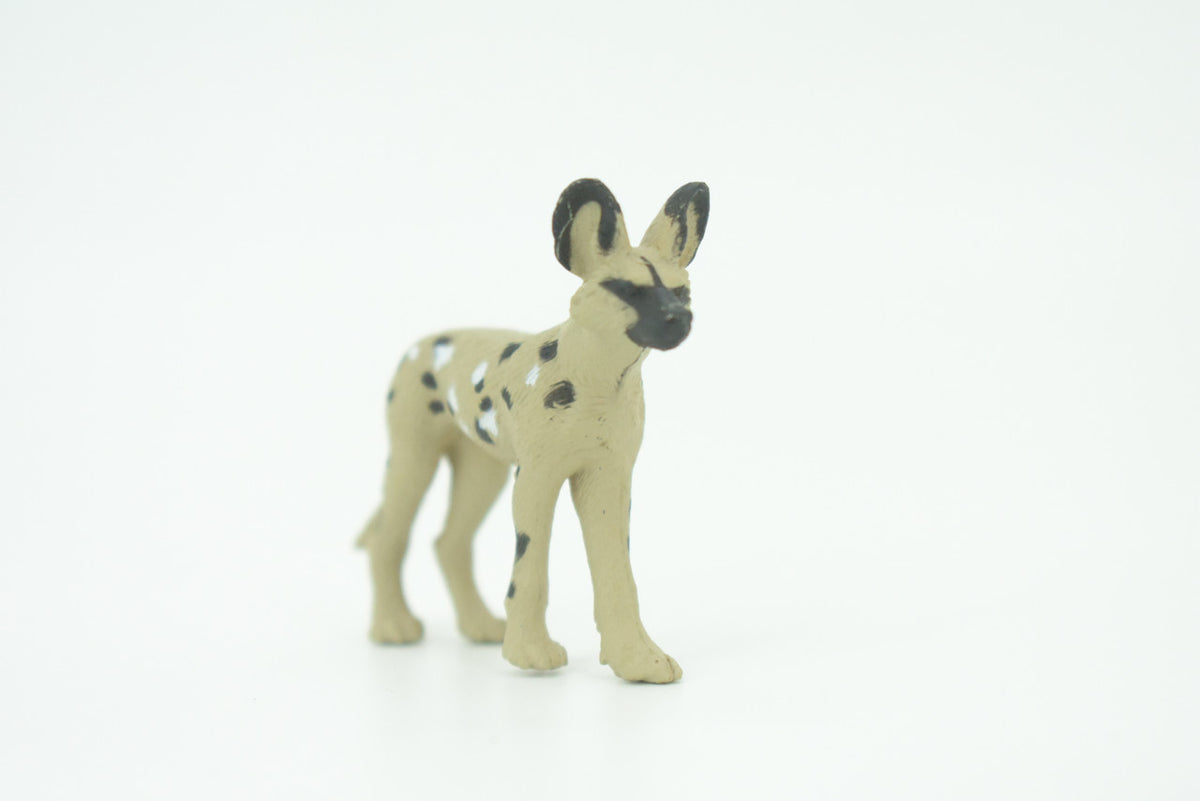 African Wild Dog, Painted Wolf, African Hunting Dog, Hand Painted, Educational, Rubber Animal, Realistic Figure, Lifelike, Gift,    2 "   SF29 B45