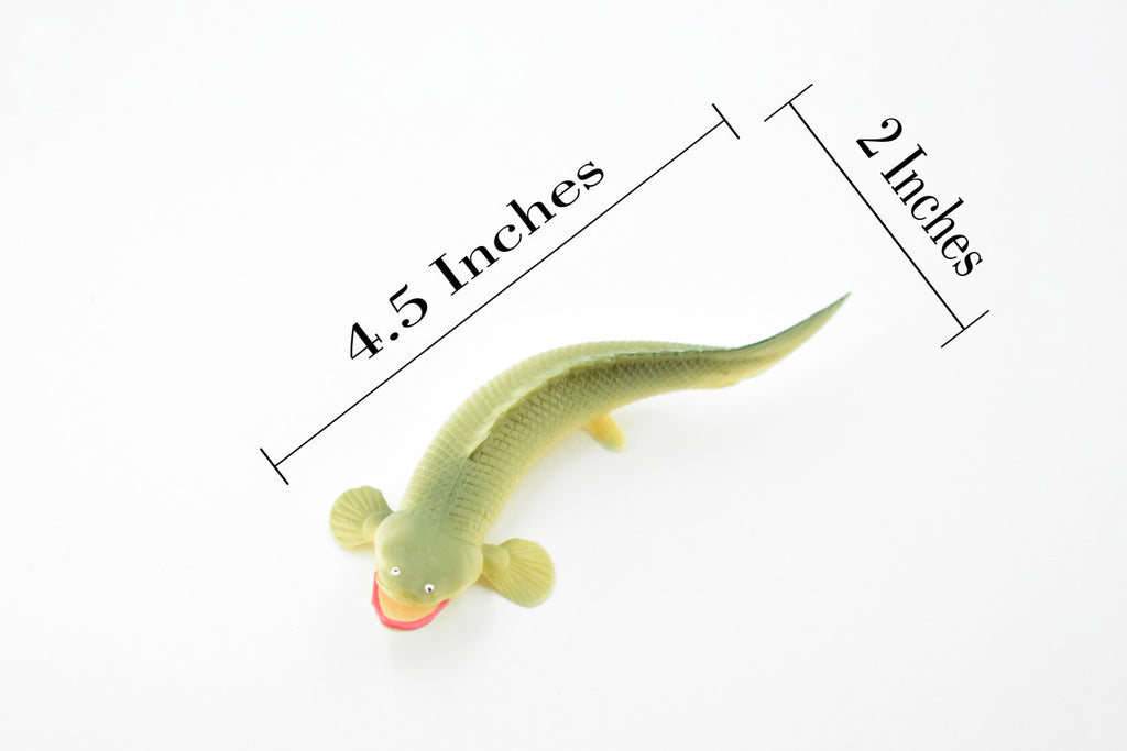 Polypterus, Nile Bichirs, Ropefish, Museum Quality, Rubber Fish, Hand Painted, Realistic Toy Figure, Diorama Model, Kids, Educational,  4 1/2 Inches. 