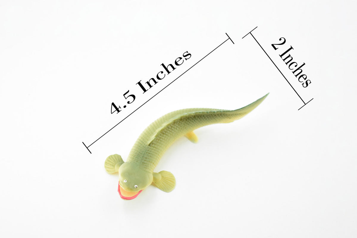 Polypterus, Nile Bichirs, Ropefish, Museum Quality, Rubber Fish, Hand Painted, Realistic Toy Figure, Diorama Model, Kids, Educational,  4 1/2 Inches. 