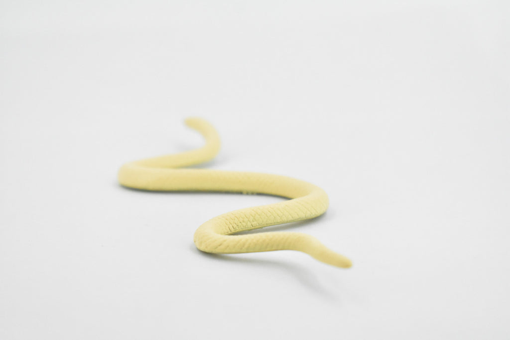 Albino Texas Rat Snake, Rubber Reptile, Educational, Realistic Hand Painted, Figure, Lifelike Model, Figurine, Replica, Gift,       5 1/2"