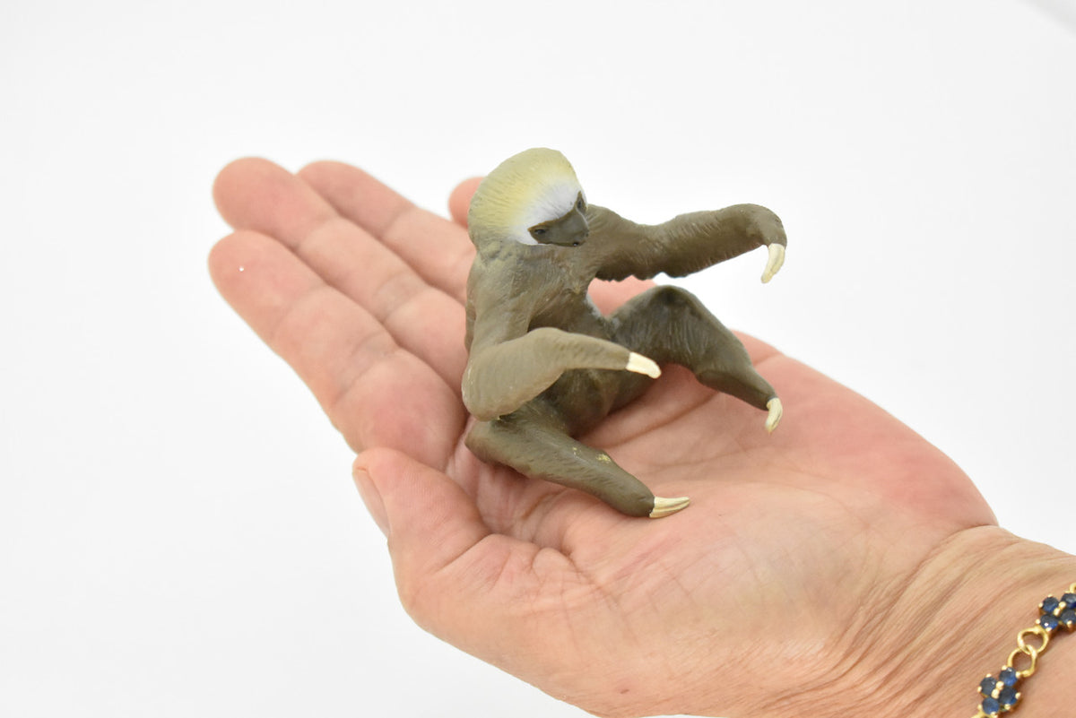 Sloth, Three Toed, Very Nice Design, Hand Painted, Educational, Rubber Animal, Realistic Toy Figure, Diorama Model, Kids, 3 1/2 Inches. 