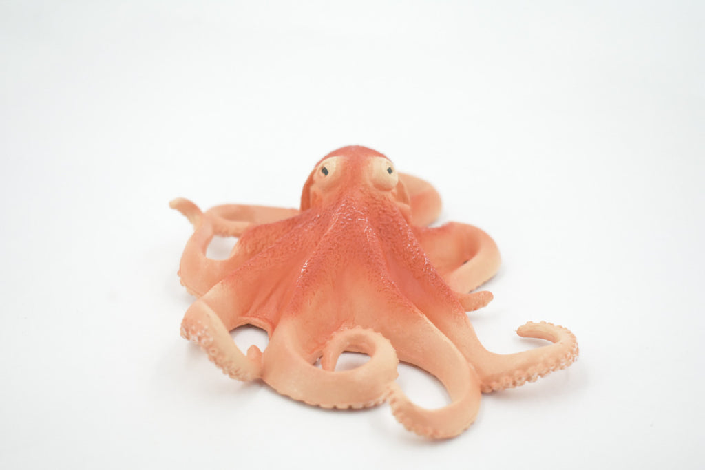 Octopus, Octopuses, Museum Quality, Rubber, Octopodes, Educational, Realistic Hand Painted, Figure, Lifelike Figurine, Replica, Gift,    6"     M040 B637