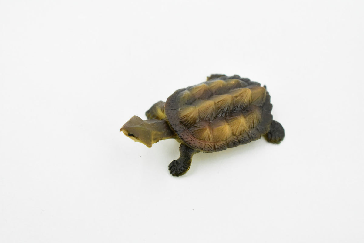 Alligator Snapping Turtle,  Matamata Turtle, Rubber Reptile, Hand Painted, Educational, Realistic Toy Figure, Diorama Model, Kids, Gift,     2 Inches.  CH414 BB108