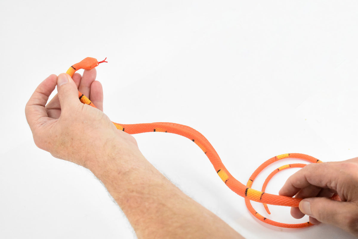 Snake, Orange with yellow bands, Rubber Reptile, Educational, Realistic Hand Painted, Figure, Lifelike Model, Figurine, Replica, Gift,       36"       F3580 B355