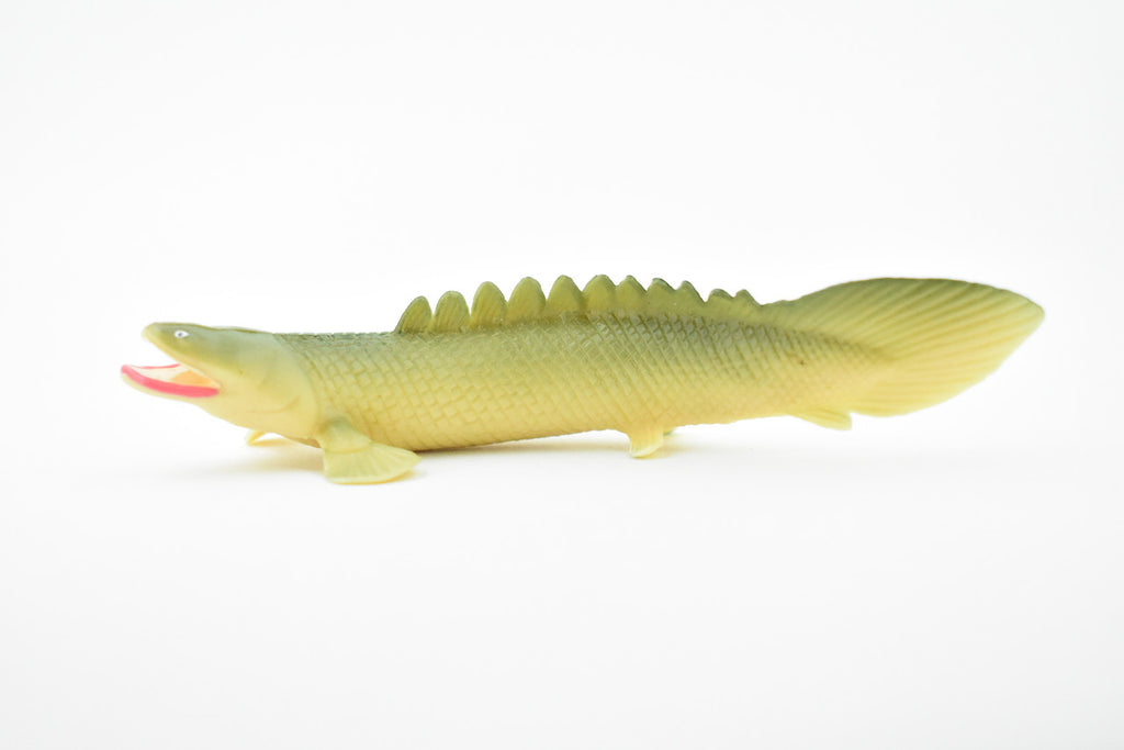 Polypterus, Nile Bichirs, Ropefish, Museum Quality, Rubber Fish, Hand Painted, Realistic Toy Figure, Diorama Model, Kids, Educational,  4 1/2 Inches. 