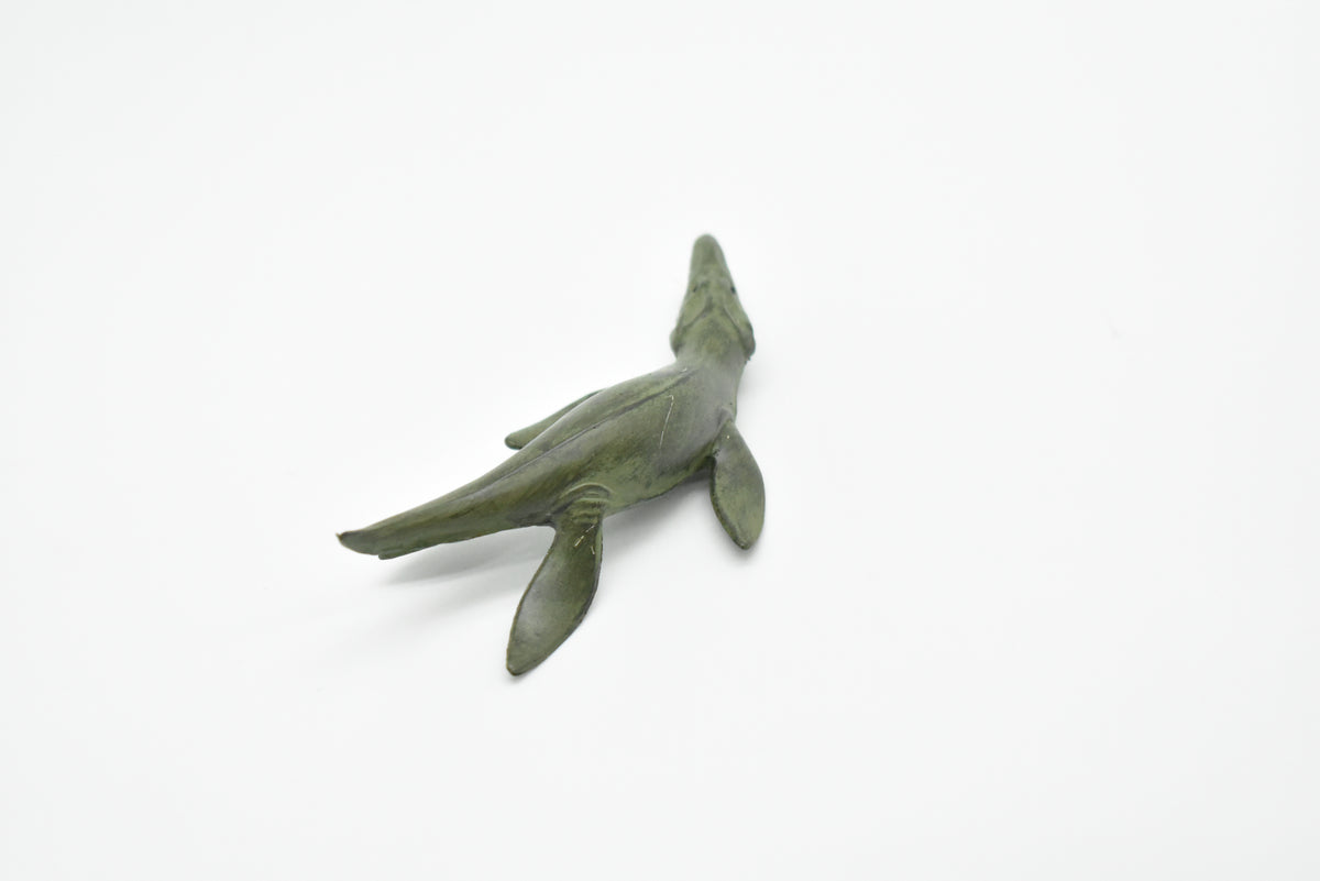Liopleurodon Toy, Plesiosaur, Extinct Marine Reptile, Realistic Dinosaur Plastic  3 1/4"    F4167 B374