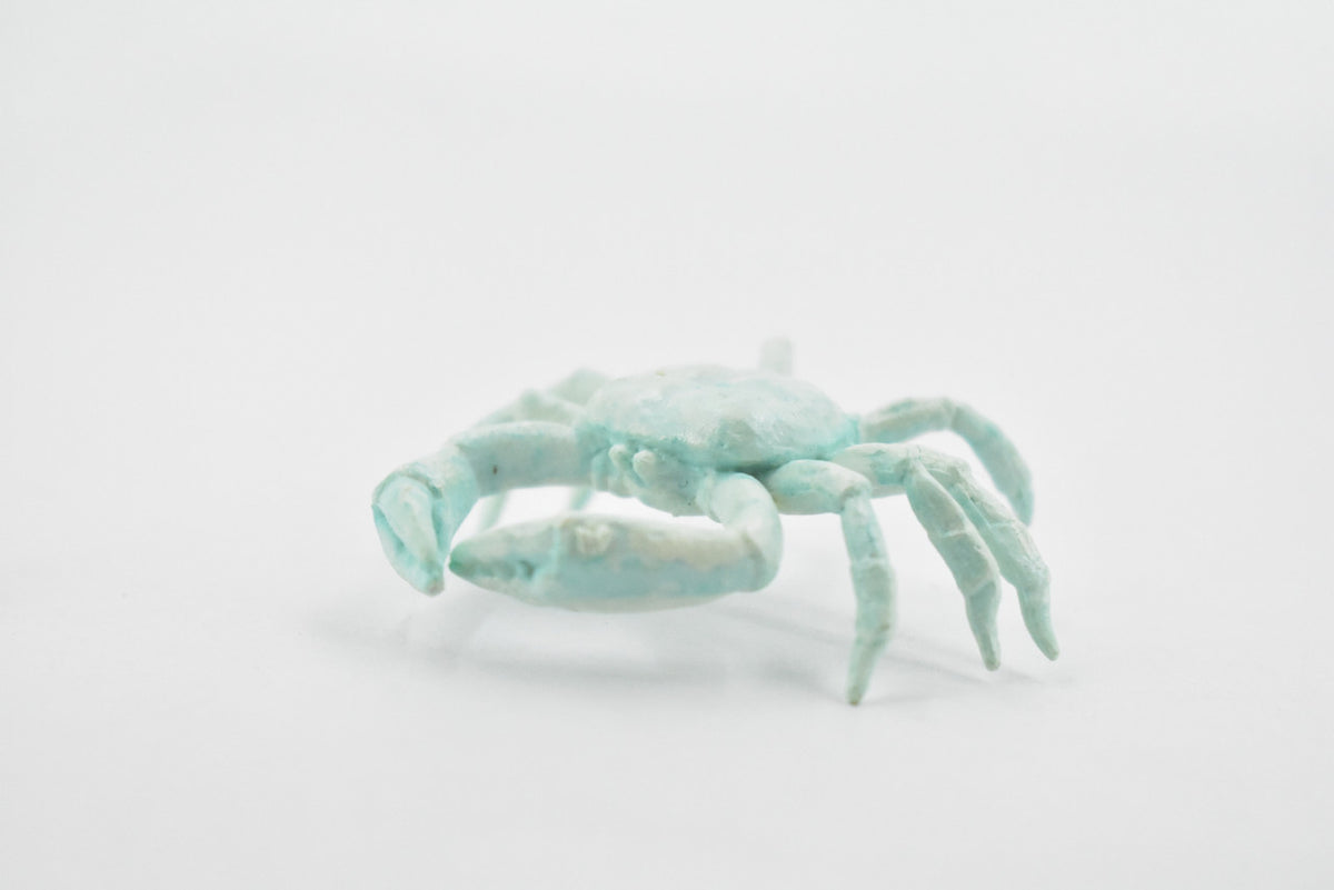 Crab, Cave, Rubber, Crustaceans, Educational, Realistic, Hand Painted, Figure, Lifelike Figurine, Replica, Gift,      2"      F764 B625