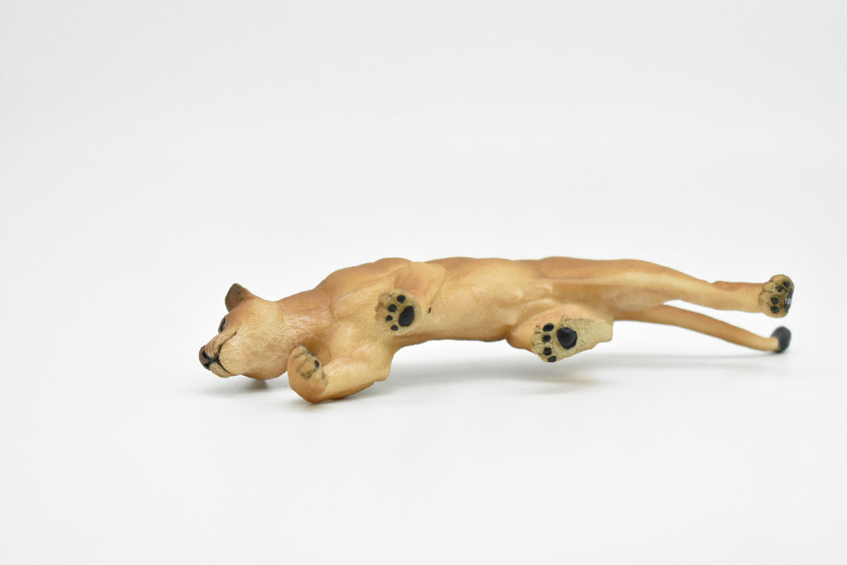 Lion, Lioness, African, Museum Quality Rubber Animal, Educational, Realistic Hand Painted Figure, Lifelike Figurine, Replica, Gift,    6 1/2"      CWG255 B240
