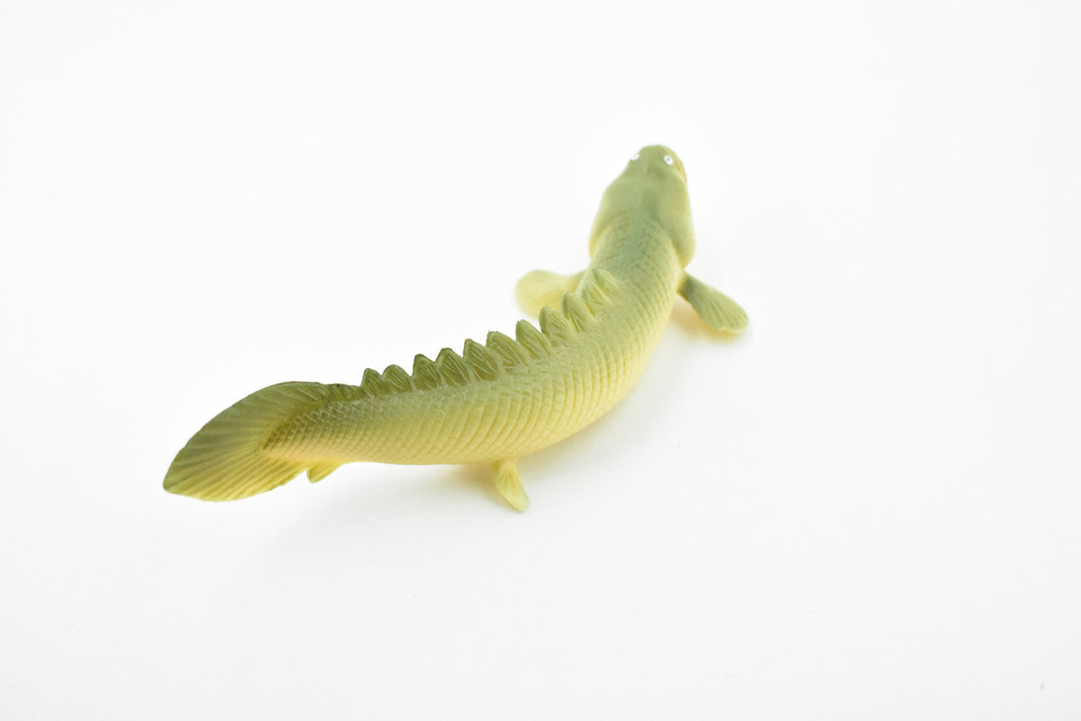 Polypterus, Nile Bichirs, Ropefish, Museum Quality, Rubber Fish, Hand Painted, Realistic Toy Figure, Diorama Model, Kids, Educational,  4 1/2 Inches. 