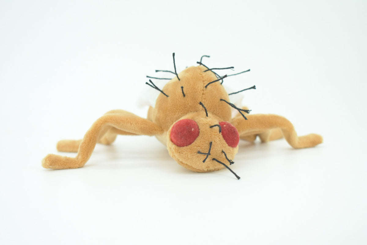 Fruit Fly, Drosophila melanogaster, Plush Insect Design, Educational, Figure, Replica, Gift,     6"   F4307 B323