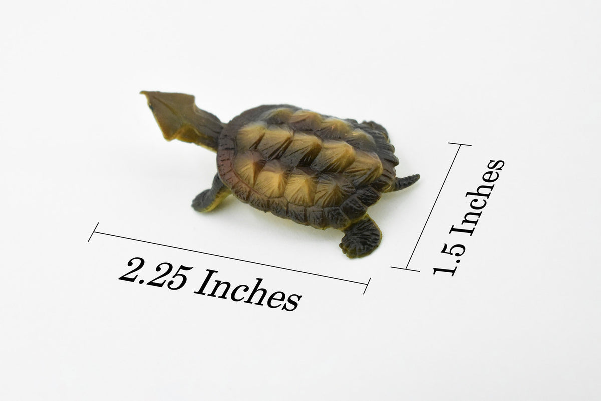 Alligator Snapping Turtle,  Matamata Turtle, Hand Painted, Rubber Reptile, Realistic Toy Figure, Diorama Model, Replica, Kids, Educational,  2 Inches.