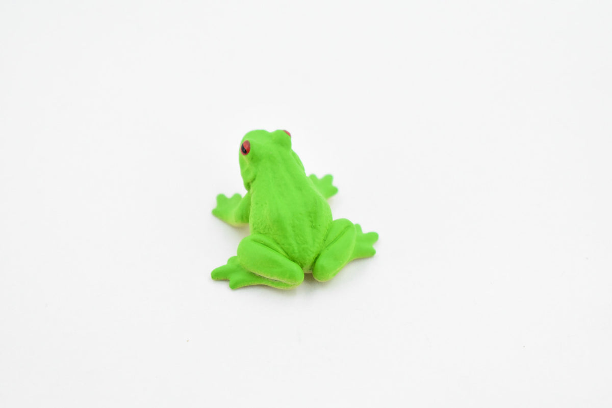 Green Tree Frog, Rubber Amphibian, Educational, Realistic, Figure, Lifelike Model, Figurine, Replica, Toys, Kids, Gift,    1 1/4 Inches.    F7014 B33