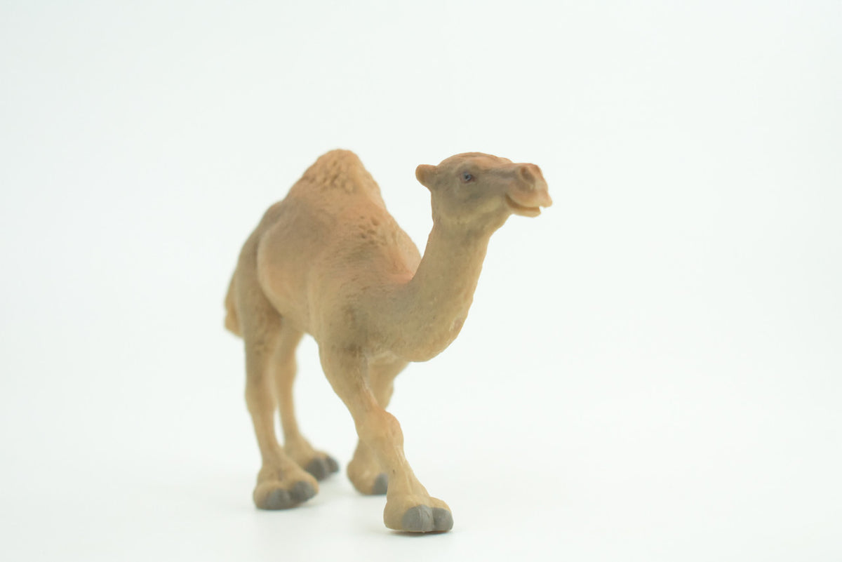 Camel, One Humped, Dromedary, Museum Quality, Educational, Hand Painted, Rubber Animal, Realistic, Diorama, Toy, Kids, Gift,   5  Inches.  CH946 BB208
