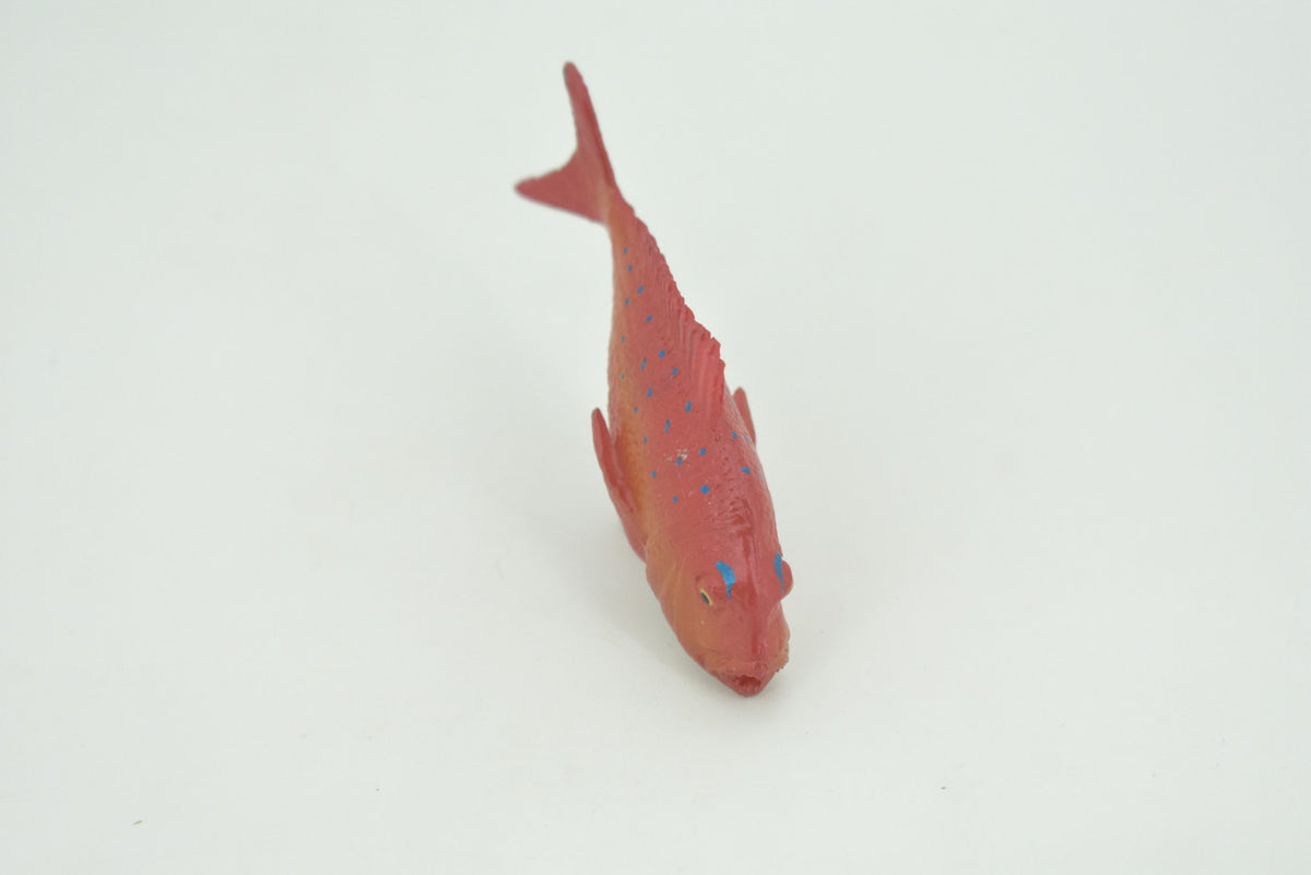 Red Snapper, Fish, Onaga, Rockfish, High Quality, Hand Painted, Hard Rubber, Realistic, Figure, Model, Toy, Kids, Educational, Gift,     3"     CH303 BB181