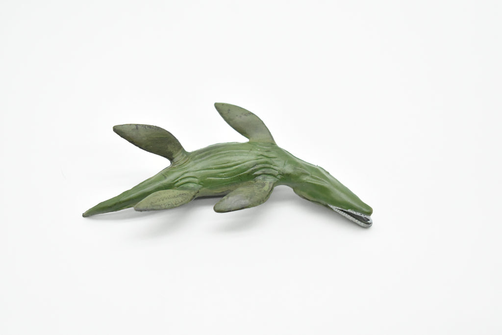 Liopleurodon Toy, Plesiosaur, Extinct Marine Reptile, Realistic Dinosaur Plastic  3 1/4"    F4167 B374