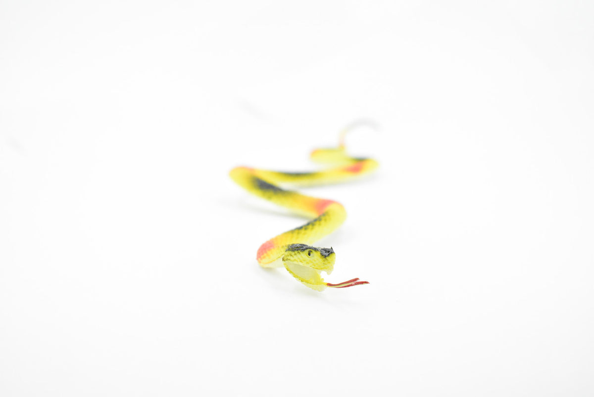 Snake, Coral snake, Rubber Reptile, Educational, Realistic Hand Painted, Figure, Lifelike Model, Figurine, Replica, Gift,      10"       F2082 B142
