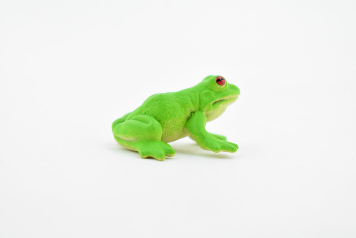 Green Tree Frog, Rubber Amphibian, Educational, Realistic, Figure, Lifelike Model, Figurine, Replica, Toys, Kids, Gift,    1 1/4 Inches.
