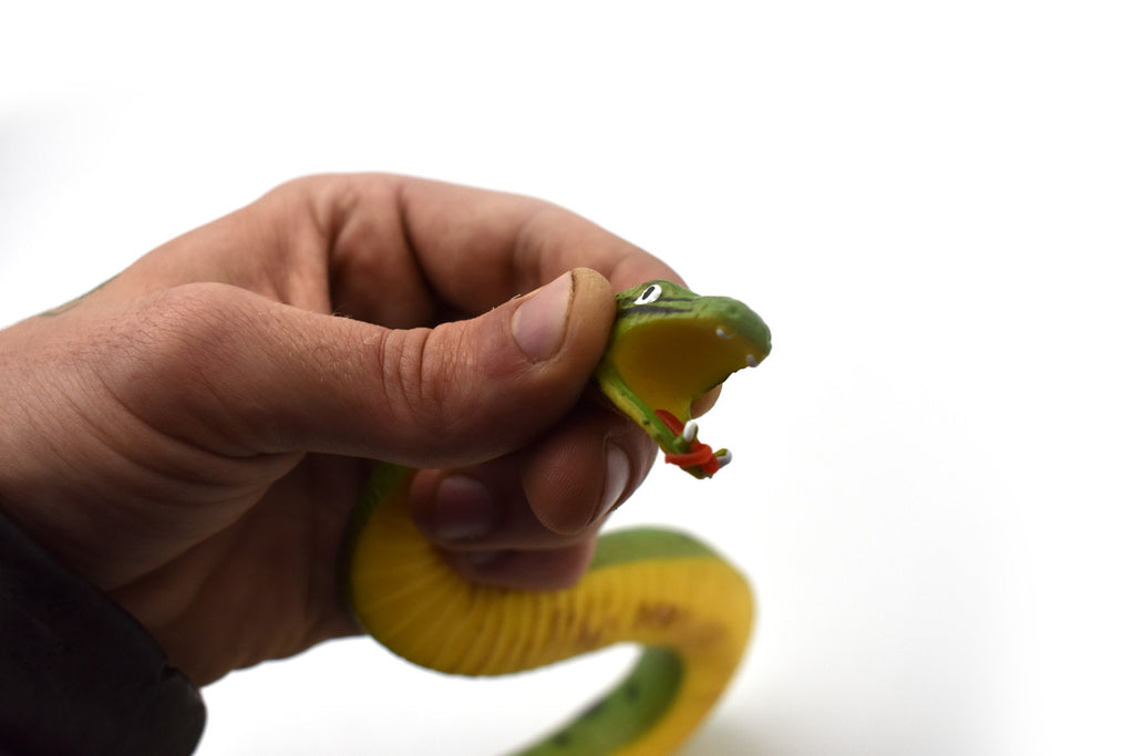 Green Anaconda, Snake, Rubber Reptile, Educational, Realistic, Hand Painted, Figure, Lifelike Model, Figurine, Replica, Toys, Gift,     10 Inches.  