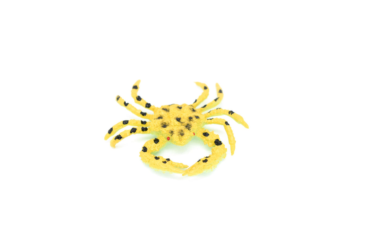 Crab, Golden Ghost Crab, Ocypode convexа, Hand Painted, Realistic, Solid Rubber, Saltwater, Educational Model,  Figure, Lifelike, Diorama Model, Toy, 2 Inches