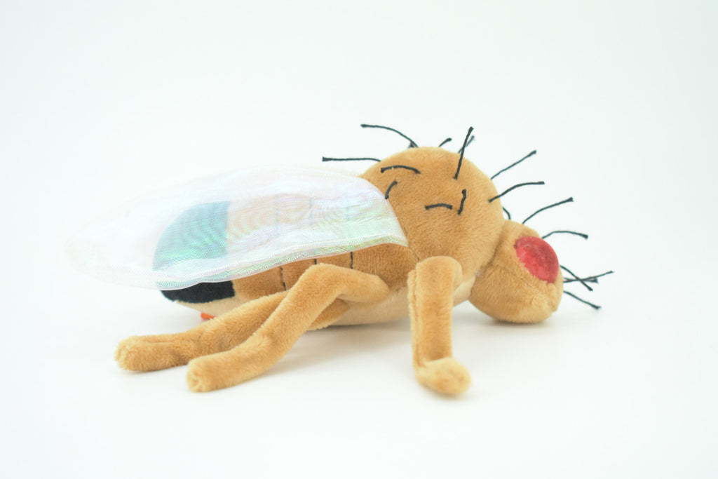 Fruit Fly, Drosophila melanogaster, Plush Insect Design, Educational, Figure, Replica, Gift,     6"   F4307 B323