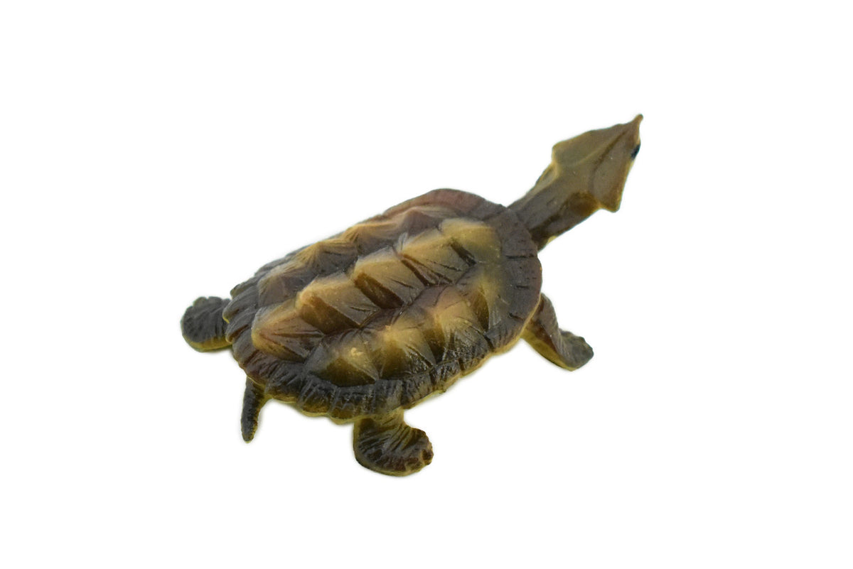 Alligator Snapping Turtle,  Matamata Turtle, Hand Painted, Rubber Reptile, Realistic Toy Figure, Diorama Model, Replica, Kids, Educational,  2 Inches.